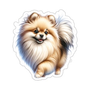 Pegatina de pomerania color crema sable: calcomanía de vinilo para maletas, teclados o tarjetas de felicitación: excelente regalo para peluqueros de perros o dueños de mascotas
