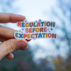 Regulation Before Expectation Sticker, ADHD Neurodivergent Teacher Sticker, Great Small Gift Sticker for Laptop or Stanley Water Bottle