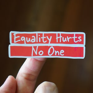 Equality Vinyl Sticker, Equal Rights, Defend Equality, LGBTQ, Women's Rights, Human Rights, Gay Pride, Social Justice