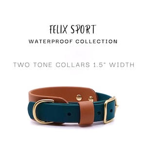 Large Two Tone Double Layer BioThane® Collar | Waterproof