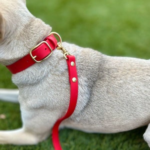 1 Inch BioThane® Dog Collar | Waterproof | Multiple Colors