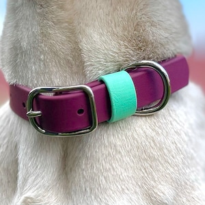 3/4 Inch BioThane® Small Dog Collar | Waterproof | Multiple Colors
