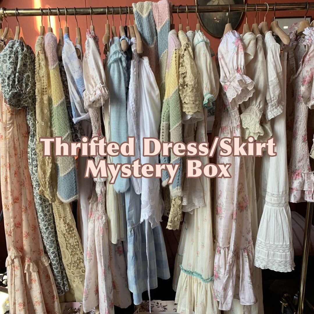 Thrifted Dress/skirt Mystery Box Clothing Bundle Etsy