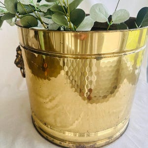 May include: A hammered brass bucket with a lion's head detail on the side, filled with green and white leafy branches. The bucket has a shiny, reflective surface and a textured, dimpled pattern.