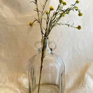 Glass Jug } Antique Glass Bottle } 2 Handles } One Gallon } Art Deco Style } Collectible Jar }  DES Pat Bottle 87834 Owens-Illinois 1930's