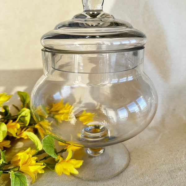 Glass Bubble Jar with Lid } Clear Candy Dish on Pedestal } Apothecary Jar { Simplistic Design Glass Container for Storage } Display Jar }