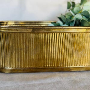 May include: An oval brass planter with a ribbed, vertical texture along the exterior walls. The container features two small metal handles on the sides and contains a cluster of green eucalyptus leaves extending from the top opening.