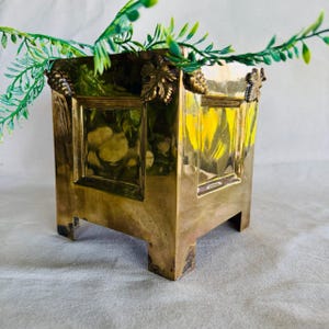 May include: A square, brass planter with a shiny finish. The planter has a rectangular design with decorative grape leaf and cluster accents on the corners. Greenery is visible inside the planter. The planter sits on four small feet.