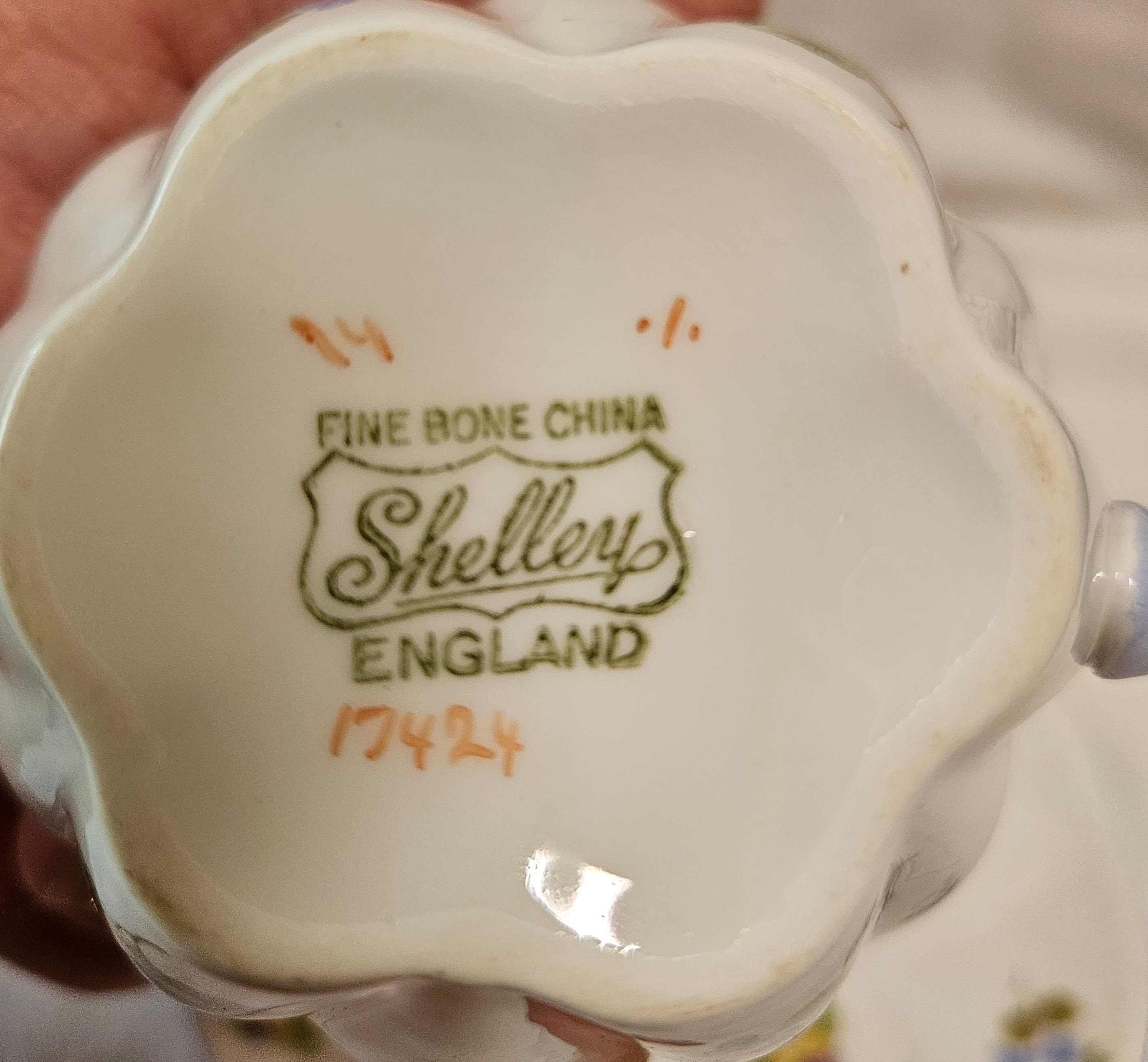 Shelley Rose, Pansy, Forget-me-not 13424 Cup, Saucer