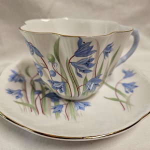 Shelley dainty Scilla 2511