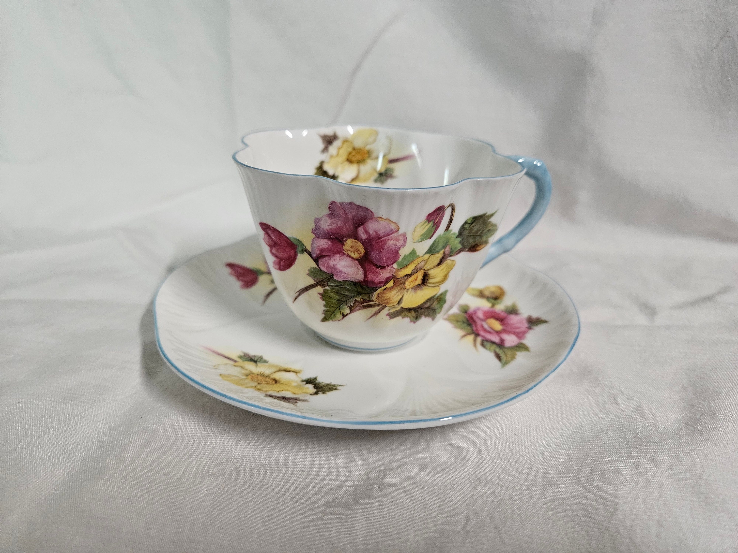 Shelley Begonia 13427 - Etsy