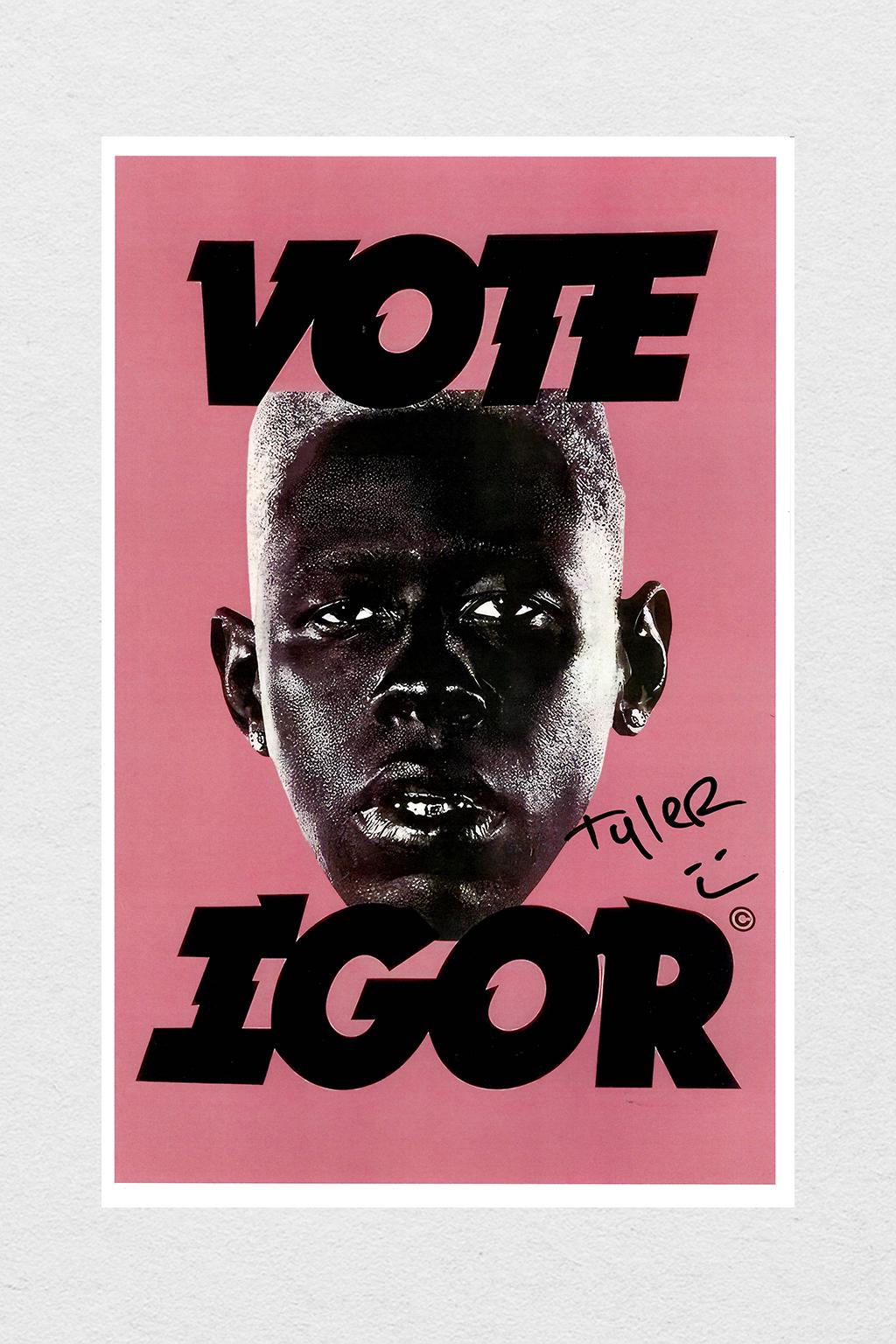 Tyler The Creator ポスター Amazon.co.jp: Tyler Poster The Creator - フラワーボーイ ポスター