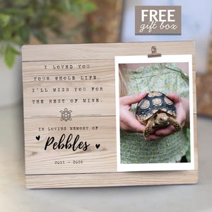 May include: Wooden memorial plaque with a photo of a turtle held in hands. The plaque has the text "I loved you your whole life. I'll miss you for the rest of mine. In loving memory of Pebbles 2011-2026."
