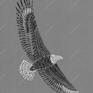 May include: A black and white stylized illustration of an eagle in flight. The eagle's wings are spread wide and its head is turned to the side. The illustration is made up of repeating patterns of lines and shapes.