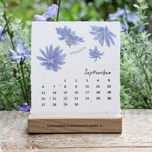 Könnte beinhalten: Ein quadratisches Papier-Kalenderblatt für September mit blauen Wegwarten-Blütenillustrationen und dem Text Wegwarte. Der Kalender steckt in einem rechteckigen Holzständer, der mit dem Satz Gluck wachst in den kleinsten Dingen graviert ist.