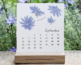 Saatpapier Kalender 2027 zum Einpflanzen, nachhaltiger Tischkalender aus handgeschöpftem Papier mit 13 Sorten Blumen, Kräutern und Gemüse
