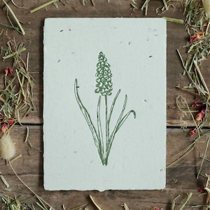 Einpflanzbare Osterkarte aus handgeschöpftem Saatpapier | Karte Hyazinthe | Karte zu Ostern und Frühling | Samenpapier-Karte Letterpress