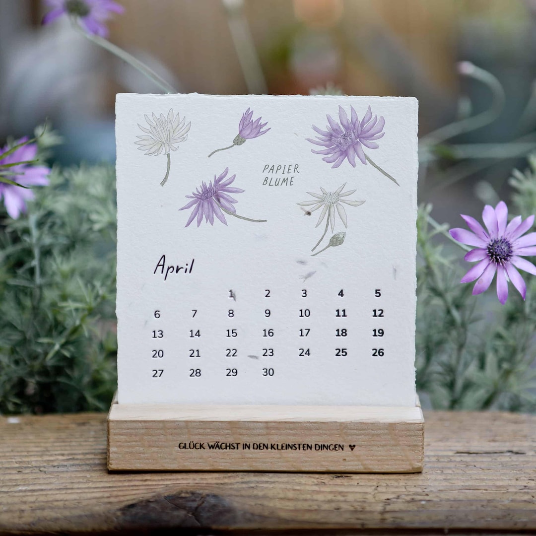 Plantable 2026 Desk Calendar Made From Handmade Seed Paper | Seed ...