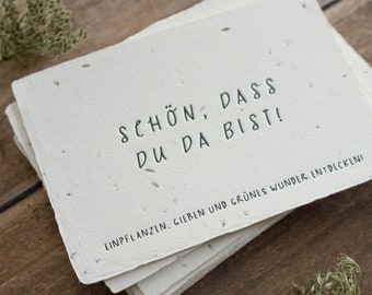 Einpflanzbares Gastgeschenk aus handgeschöpftem Saatpapier | Schön, dass du da bist | Hochzeit, Geburtstag | Letterpress | Büttenpapier