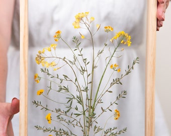 Pressed yellow flowers, Natural wall decor 21 x 38 x 4.4 cm