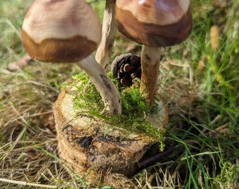 Little wooden mushrooms