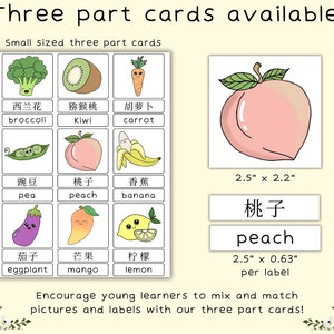 45 Mandarin and English Bilingual Fruits and Vegetables Flash Cards ...