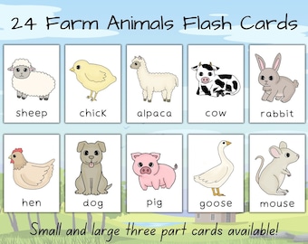 24 Farm Animals Flashcards | Preschool Printables | Toddler Animal Flash Cards | Montessori | Instant Download | Educational | Homeschool