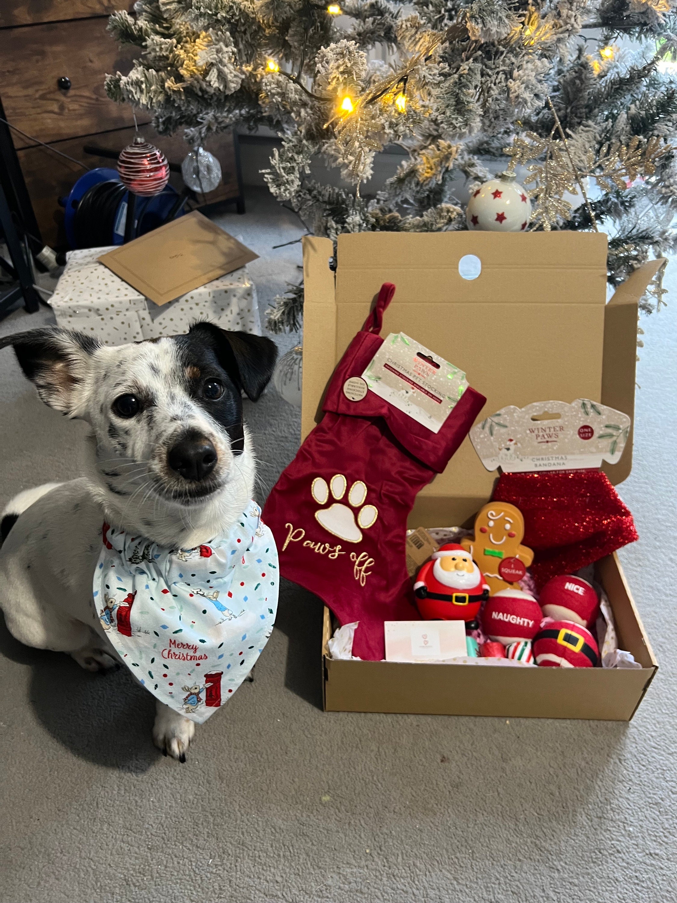 Dog Christmas Hamper, Christmas Gift, Christmas Gift for Pets, Dog