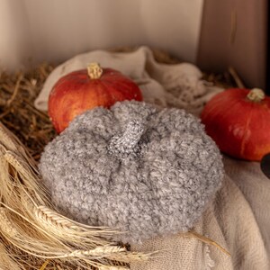 May include: A gray fuzzy pumpkin-shaped hat sits on a bed of straw with two red pumpkins beside it.