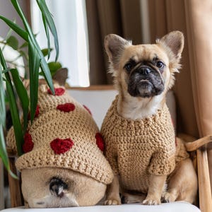 May include: Two dogs wearing matching beige crochet sweaters and hats with red heart accents. One dog is sitting upright in a wooden chair, while the other is resting its head on a white cushion. The dogs are indoors.