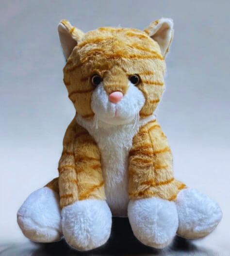 Stupid Cat Plush - Etsy UK