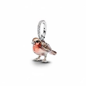 May include: A silver charm shaped like a small bird with a reddish-orange breast and brown wing details. The bird features a black eye and stands on two thin legs. Above the bird is a circular silver bail encrusted with small clear stones.