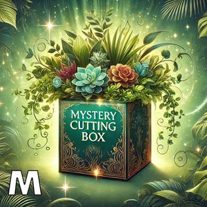 Può includere: Una scatola verde con la scritta "MYSTERY CUTTING BOX", piena di varie piante e succulente. La scatola presenta dettagli decorativi dorati ed è ambientata su uno sfondo verde lussureggiante con effetti scintillanti.