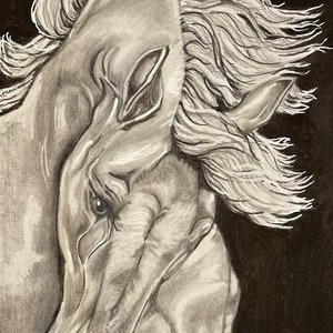 Horse drawing print| horse drawing art | horse lover art| horse drawing| horse print| Giclee horse print| horse decor| drawing horse print