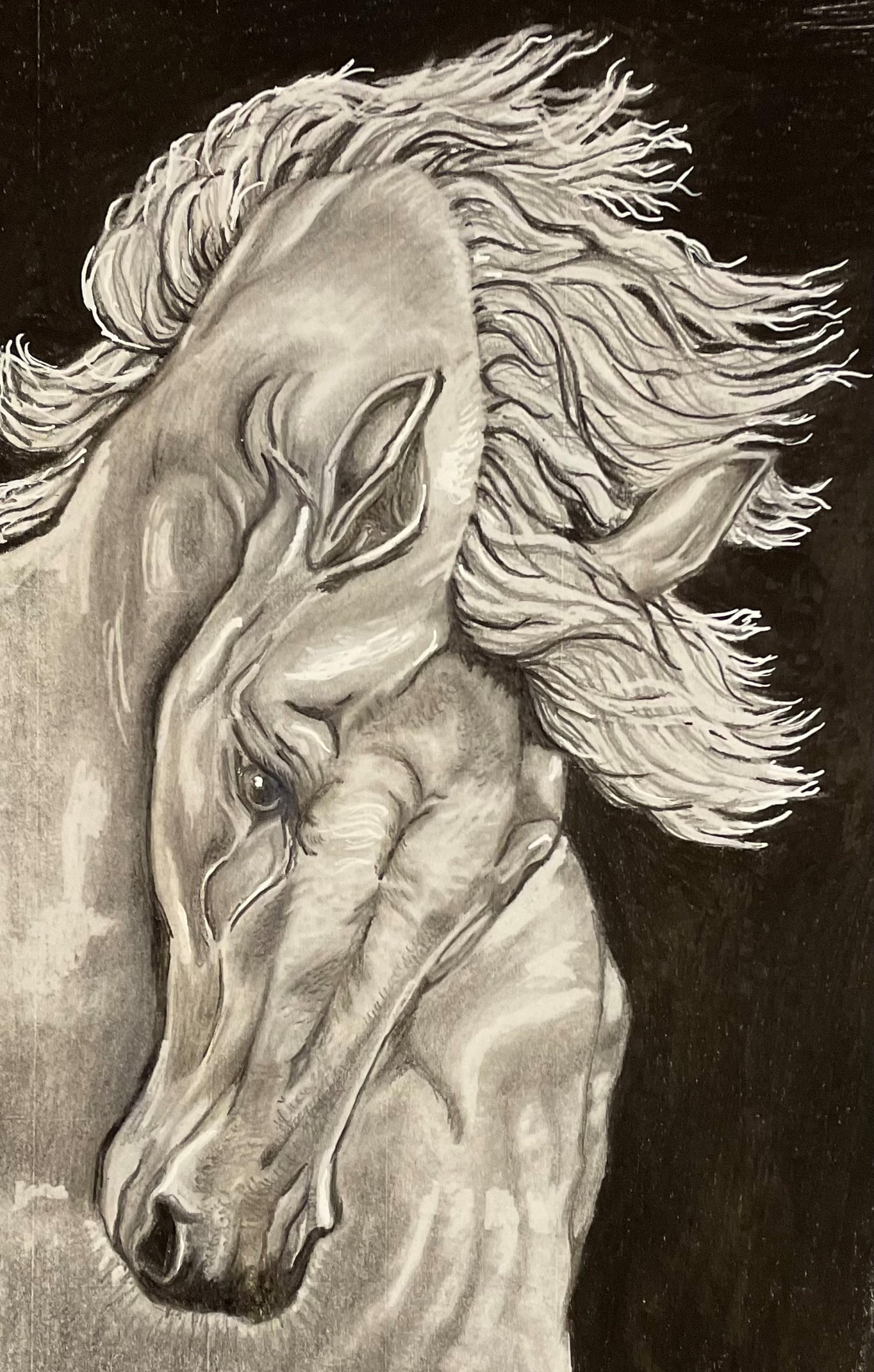 Horse Drawing Print Horse Drawing Art Horse Lover Art Horse Drawing