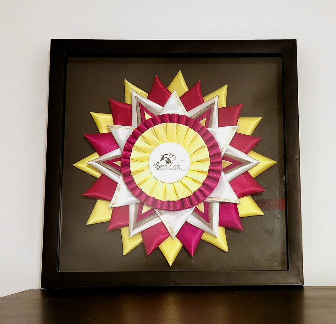 Horse Show Ribbon Shadow Box Display Etsy