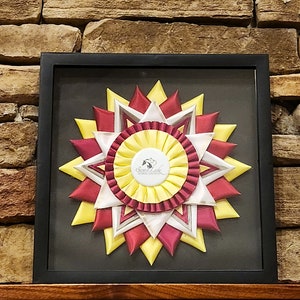 Ribbon Shadow Box Display