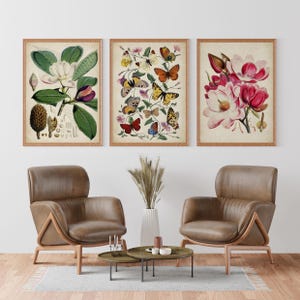 Set di stampe botaniche, magnolia farfalle e falene, stampe di pagine di libri antichi di botanica, set 3 stampe alta risoluzione, wall art.