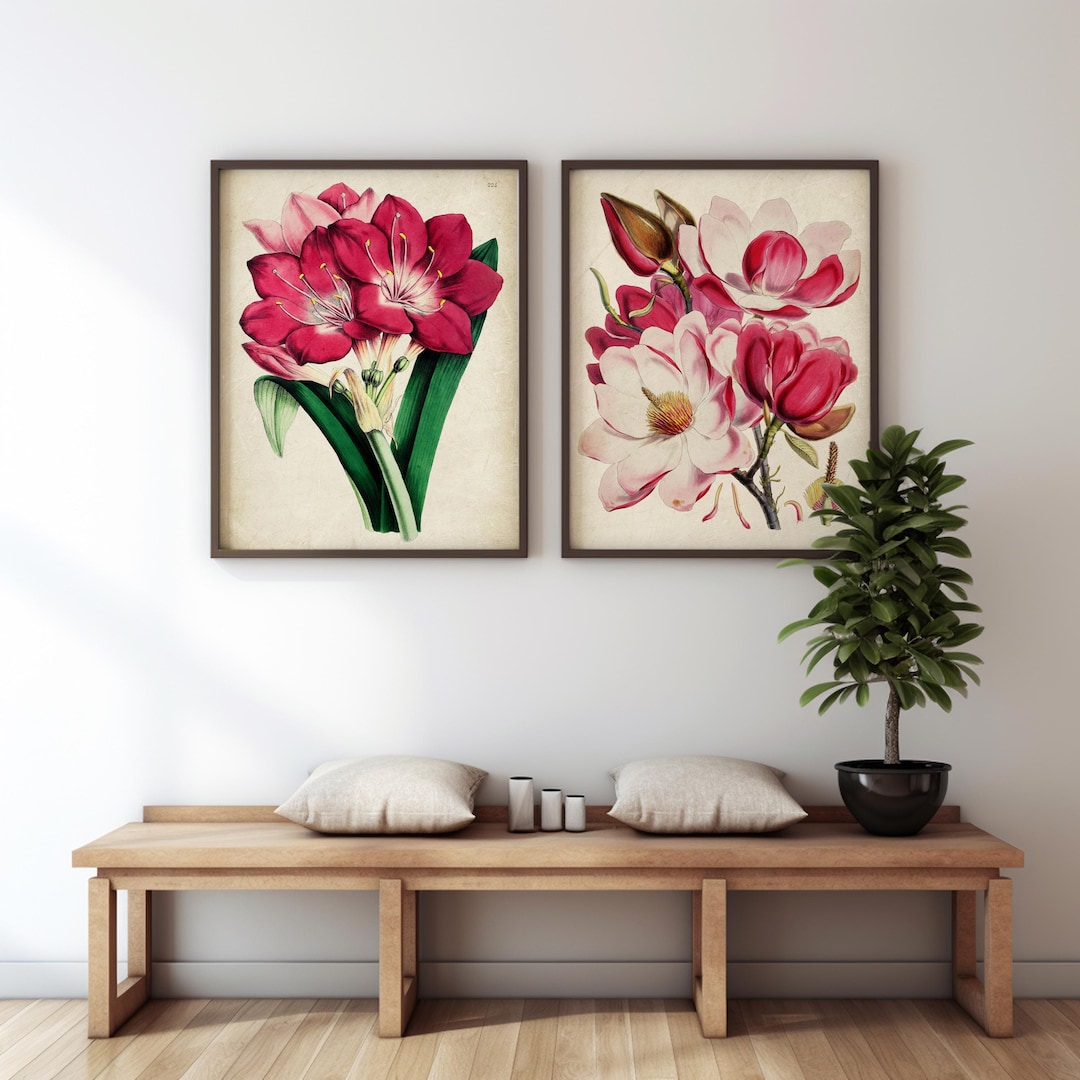 Fire Lily and Magnolia Botanical Print Set, Vintage Flower Art, Antique ...