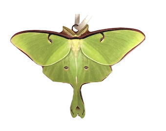 May include: A green luna moth ornament with a white ribbon for hanging. The moth has a brown border and a long tail.