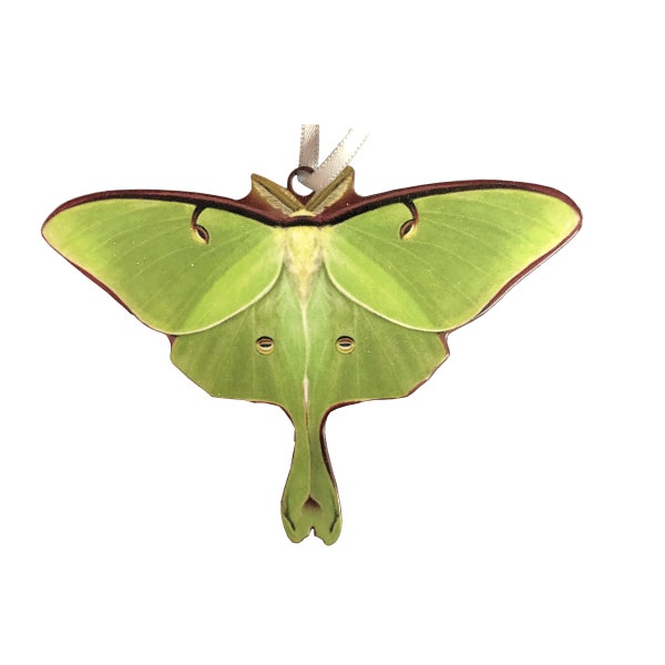 Luna Moth Ornament - Cottage Core - Luna Moth gift - Lepidoptera