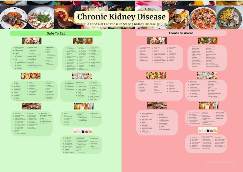 Renal Diet Guide for Kidney Disease | Healthy Food List Printable PDF ...