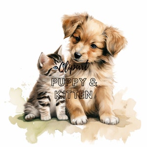 Chiot et chaton clipart aquarelle