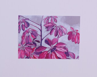 Invisible Rainforest – Postcard