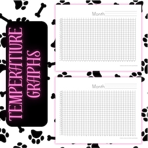 Daily Temperature Graphs | Worksheet | Homeschool