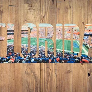 Florida Gators Text Photo Metal Sign- Ben Hill Griffin Stadium