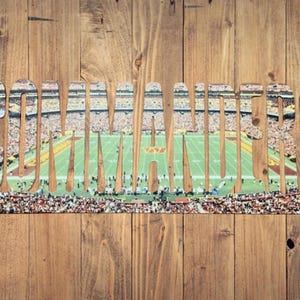 Washington Commanders Text Photo Metal Sign - Caesars Superdome
