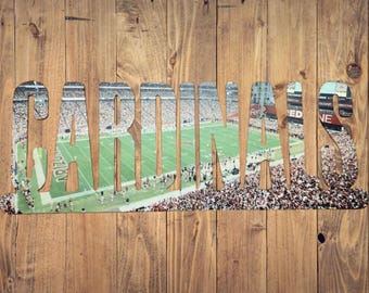 Arizona Cardinals Football Text Photo Metal Sign - State Farm Stadium
