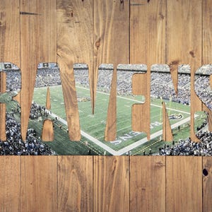 Baltimore Ravens Text Photo Metal Sign - M&T Bank Stadium