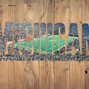 Michigan Wolverines Text Photo Metal Sign - Michigan Stadium
